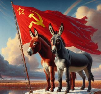 Donkeys and Soviet Flag.JPG